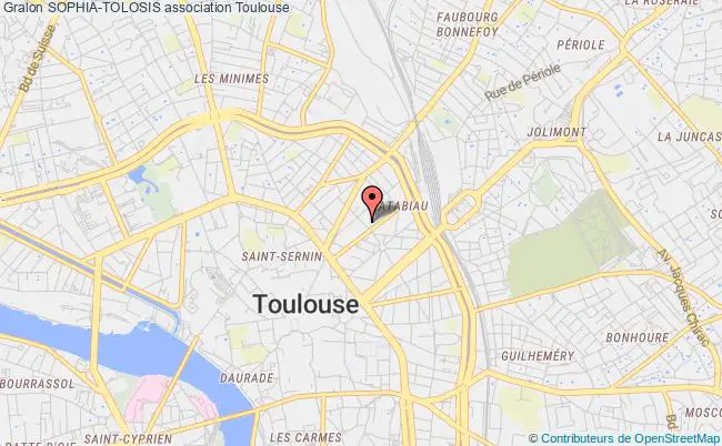 plan association Sophia-tolosis Toulouse
