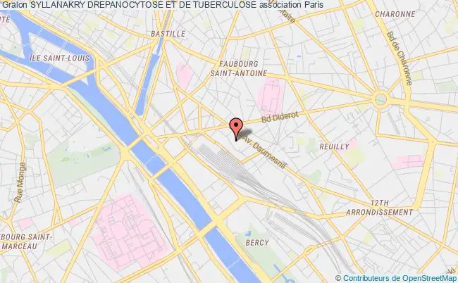 plan association Syllanakry Drepanocytose Et De Tuberculose Paris