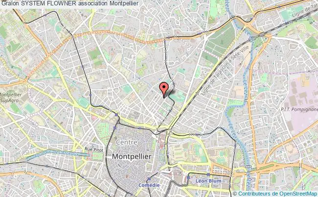 plan association System Flowner Montpellier
