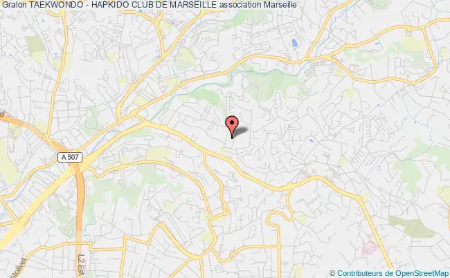 plan association Taekwondo - Hapkido Club De Marseille Marseille