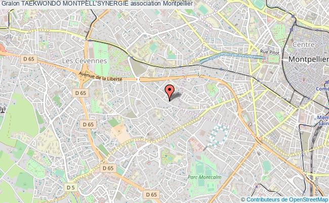 plan association Taekwondo Montpell'synergie Montpellier