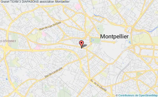plan association Team 3 Diapasons Montpellier