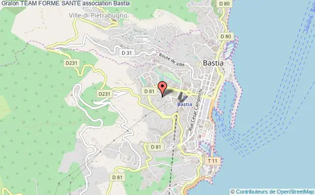 plan association Team Forme SantÉ Bastia