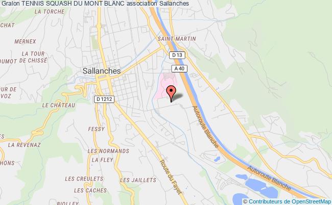 TENNIS SQUASH DU MONT BLANC