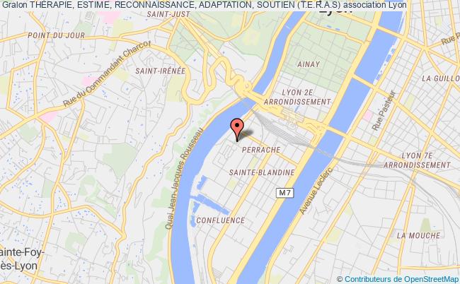 THÉRAPIE, ESTIME, RECONNAISSANCE, ADAPTATION, SOUTIEN (T.E.R.A.S)