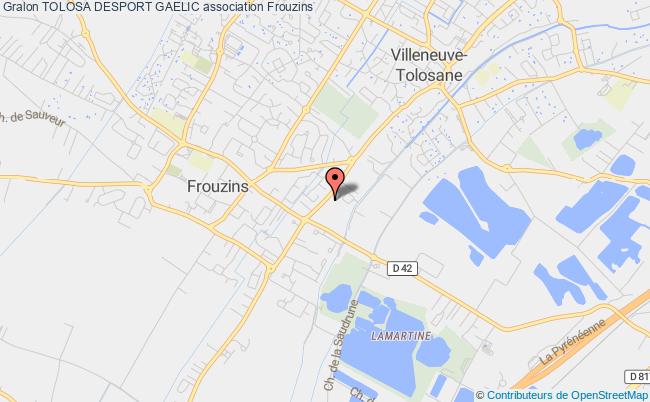 TOLOSA DESPORT GAELIC