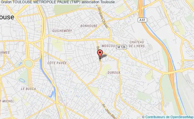 plan association Toulouse Metropole Palme (tmp) Toulouse
