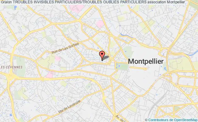 plan association Troubles Invisibles Particuliers/troubles OubliÉs Particuliers Montpellier
