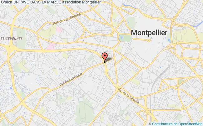 plan association Un PavÉ Dans La Marge Montpellier