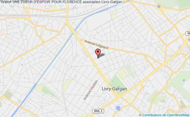 plan association Une Lueur D'espoir Pour Florence Livry-Gargan