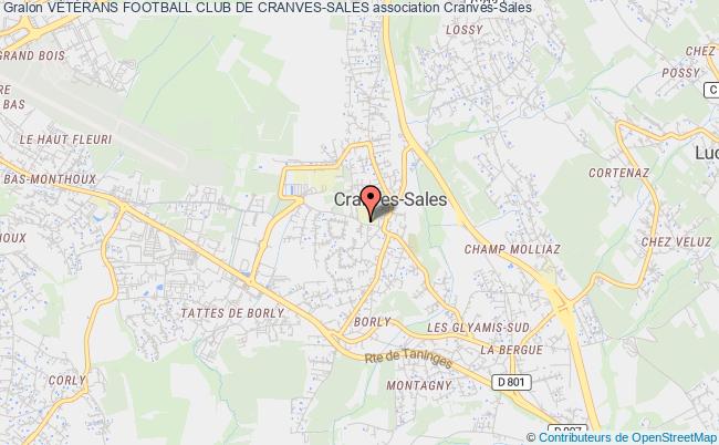 VÉTÉRANS FOOTBALL CLUB DE CRANVES-SALES