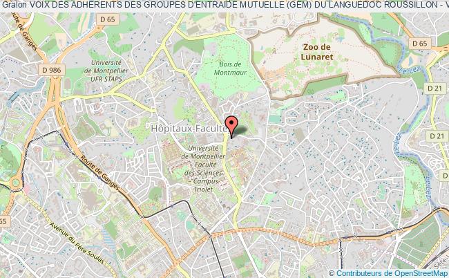 plan association Voix Des Adherents Des Groupes D'entraide Mutuelle (gem) Du Languedoc Roussillon - Vag Lr Montpellier