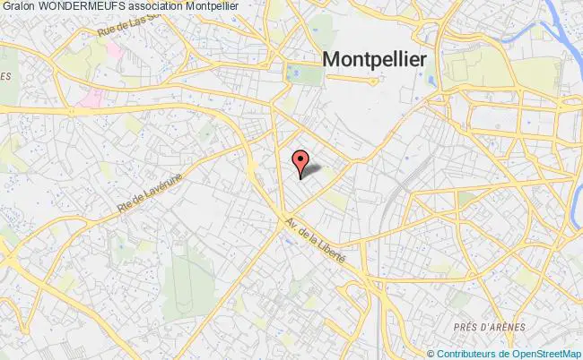 plan association Wondermeufs Montpellier