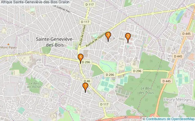 plan Afrique Sainte-Geneviève-des-Bois Associations Afrique Sainte-Geneviève-des-Bois : 6 associations