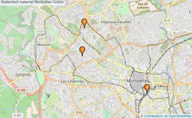 plan Allaitement maternel Montpellier Associations allaitement maternel Montpellier : 4 associations