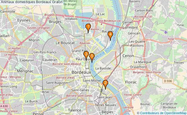 plan Animaux domestiques Bordeaux Associations animaux domestiques Bordeaux : 5 associations