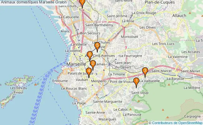 plan Animaux domestiques Marseille Associations animaux domestiques Marseille : 6 associations