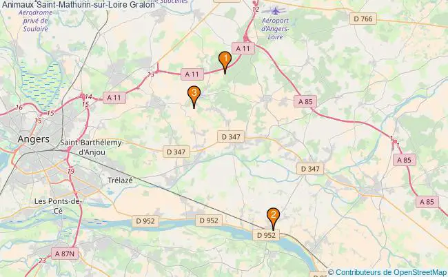 plan Animaux Saint-Mathurin-sur-Loire Associations animaux Saint-Mathurin-sur-Loire : 4 associations