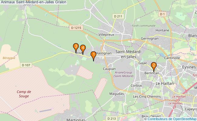 plan Animaux Saint-Médard-en-Jalles Associations animaux Saint-Médard-en-Jalles : 5 associations
