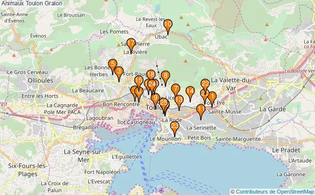 plan Animaux Toulon Associations animaux Toulon : 33 associations