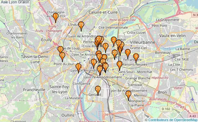 plan Asie Lyon Associations Asie Lyon : 39 associations