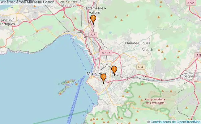 plan Athérosclérose Marseille Associations athérosclérose Marseille : 3 associations