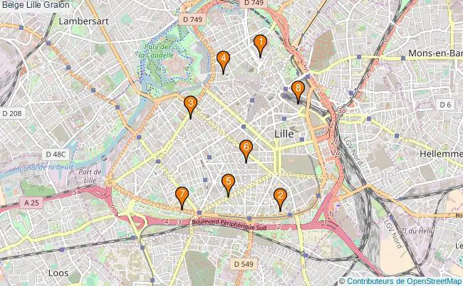 plan Belge Lille Associations belge Lille : 7 associations