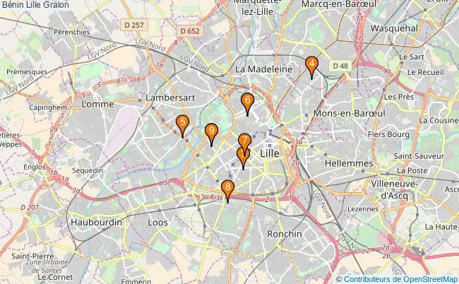 plan Bénin Lille Associations Bénin Lille : 10 associations