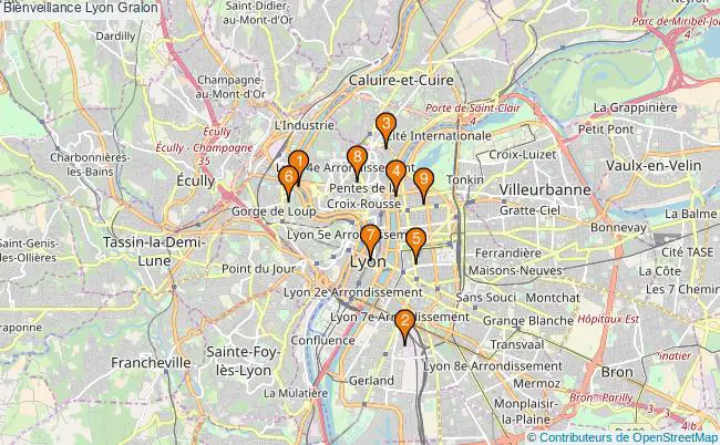 plan Bienveillance Lyon Associations Bienveillance Lyon : 17 associations