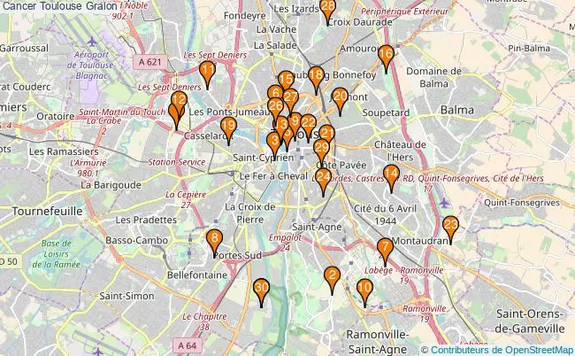 plan Cancer Toulouse Associations cancer Toulouse : 37 associations