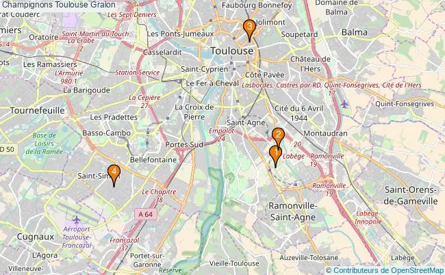 plan Champignons Toulouse Associations champignons Toulouse : 4 associations