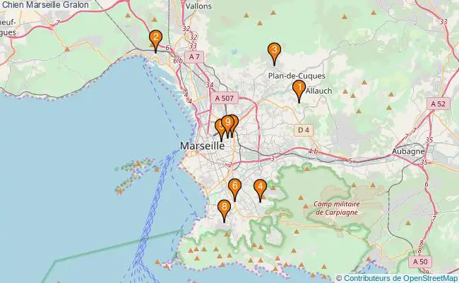 plan Chien Marseille Associations chien Marseille : 11 associations