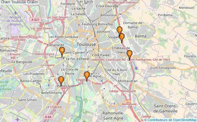 plan Chien Toulouse Associations chien Toulouse : 7 associations