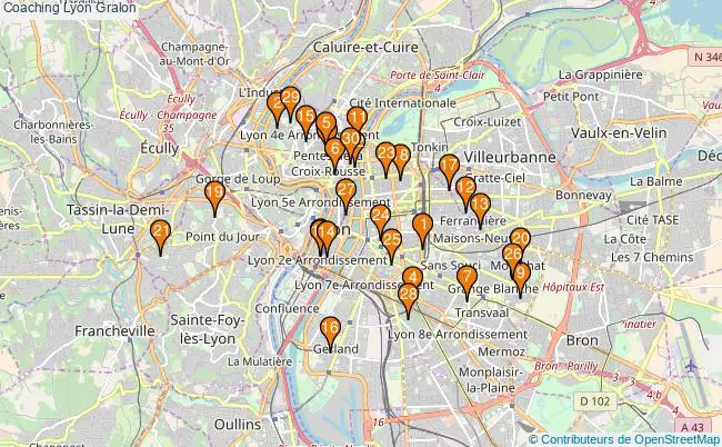 plan Coaching Lyon Associations coaching Lyon : 39 associations