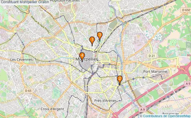 plan Constituant Montpellier Associations Constituant Montpellier : 5 associations