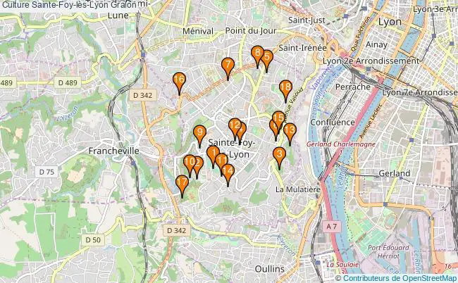 plan Culture Sainte-Foy-lès-Lyon Associations culture Sainte-Foy-lès-Lyon : 24 associations