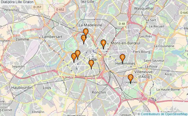 plan Diaspora Lille Associations Diaspora Lille : 14 associations
