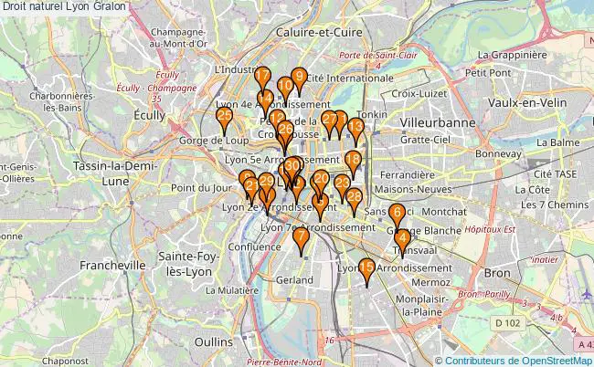 plan Droit naturel Lyon Associations droit naturel Lyon : 31 associations