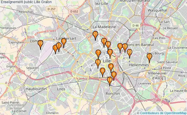 plan Enseignement public Lille Associations enseignement public Lille : 20 associations