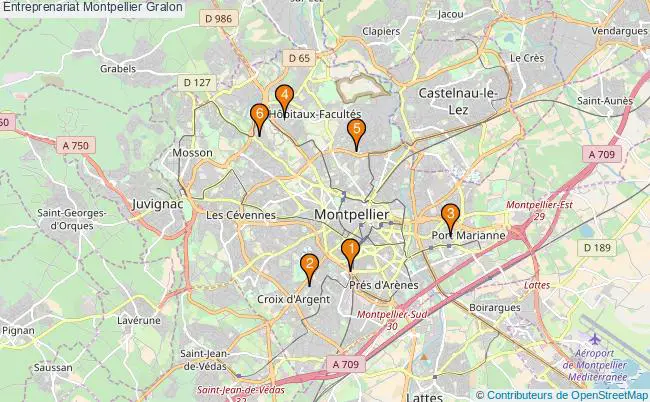 plan Entreprenariat Montpellier Associations entreprenariat Montpellier : 12 associations
