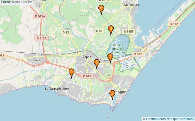 plan Faune Agde Associations faune Agde : 6 associations