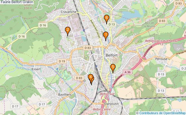 plan Faune Belfort Associations faune Belfort : 5 associations