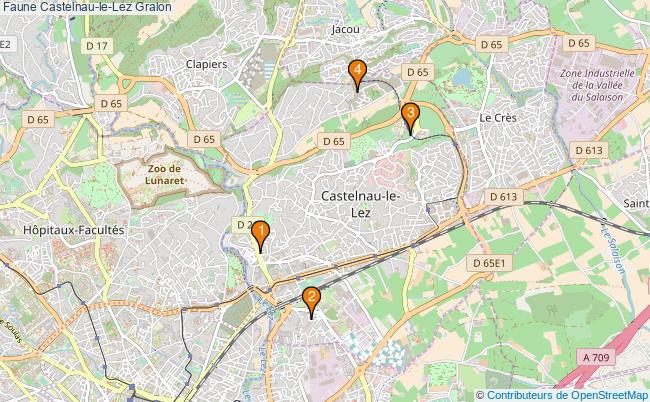 plan Faune Castelnau-le-Lez Associations faune Castelnau-le-Lez : 3 associations