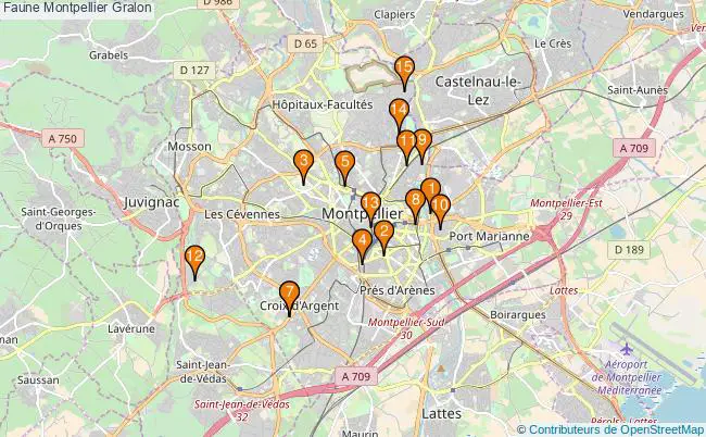 plan Faune Montpellier Associations faune Montpellier : 20 associations