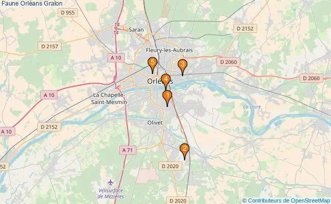 plan Faune Orléans Associations faune Orléans : 8 associations