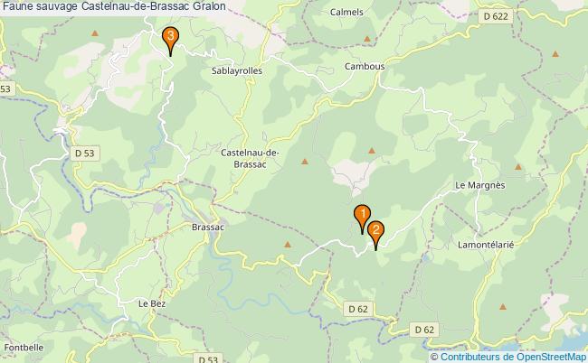 plan Faune sauvage Castelnau-de-Brassac Associations faune sauvage Castelnau-de-Brassac : 3 associations
