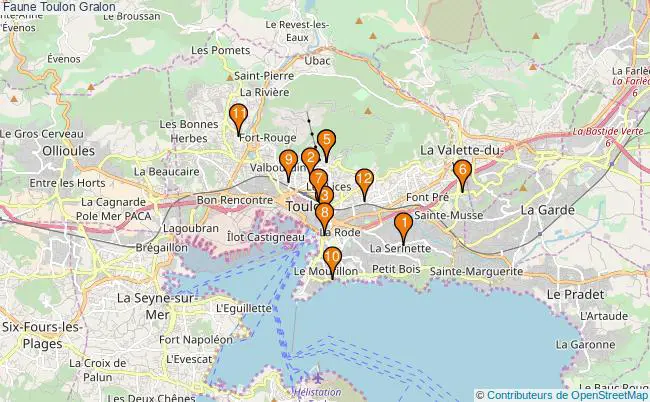 plan Faune Toulon Associations faune Toulon : 14 associations
