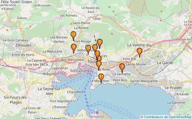 plan Flore Toulon Associations Flore Toulon : 14 associations