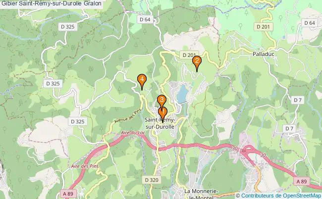 plan Gibier Saint-Rémy-sur-Durolle Associations gibier Saint-Rémy-sur-Durolle : 3 associations