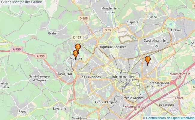 plan Gitans Montpellier Associations gitans Montpellier : 3 associations